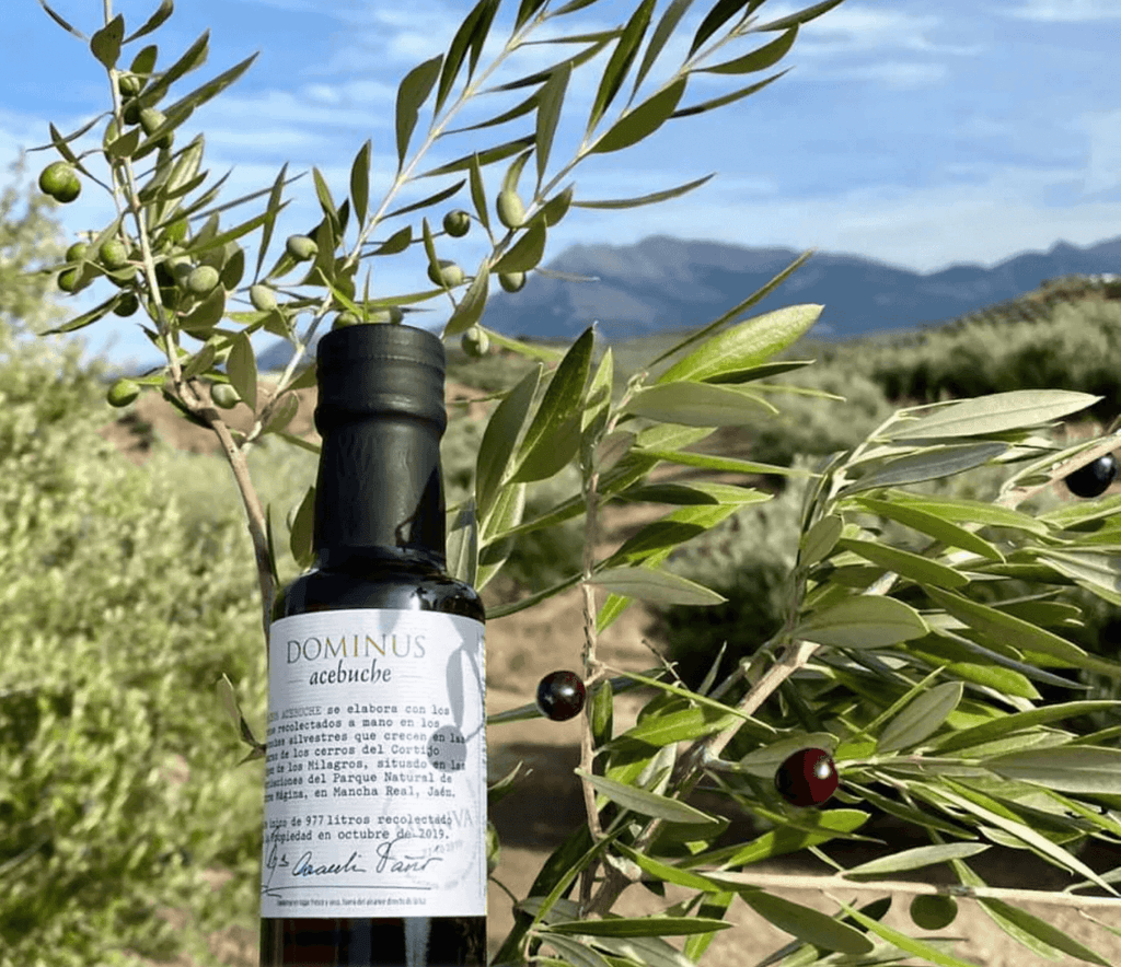 Heart-Healthy Habits: Embracing the Olive Oil Lifestyle - Dos Olivos Markets