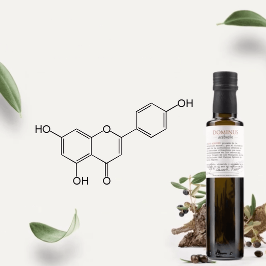 Understanding the Benefits of Polyphenols - Dos Olivos Markets