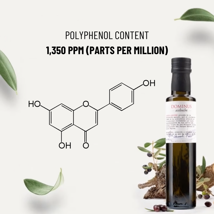 Dominus Acebuche Polyphenol Rich Organic Spanish Extra Virgin Olive Oil from Spain