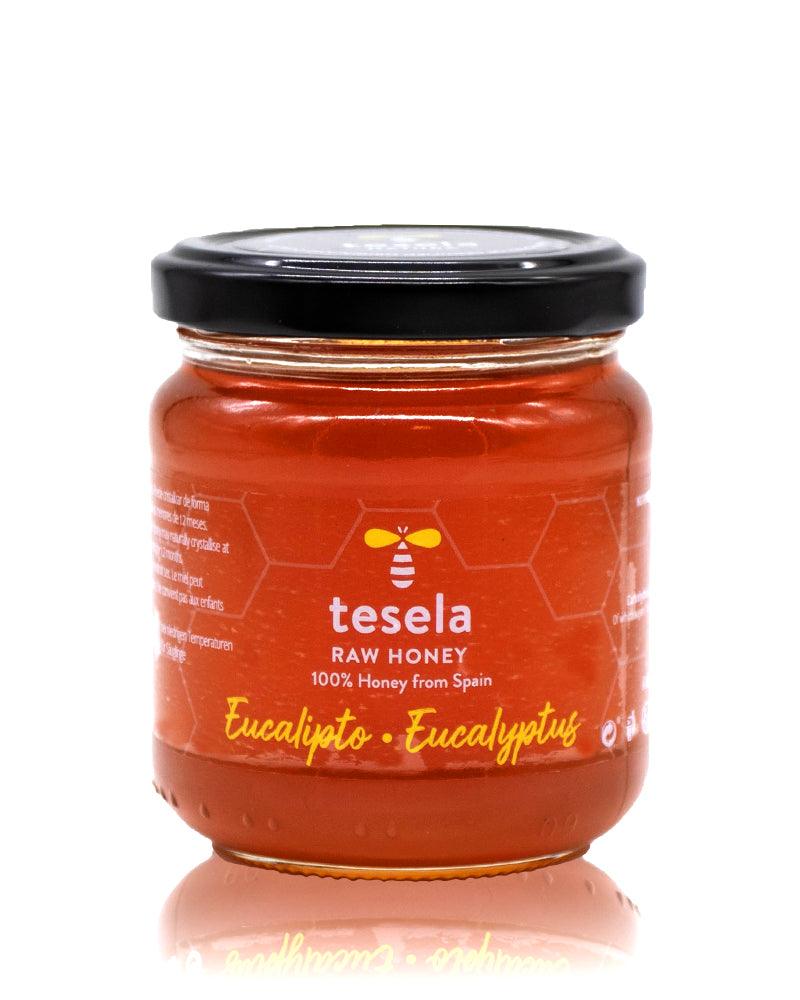 Tesela Raw Honey - Eucalyptus - Dos Olivos Markets